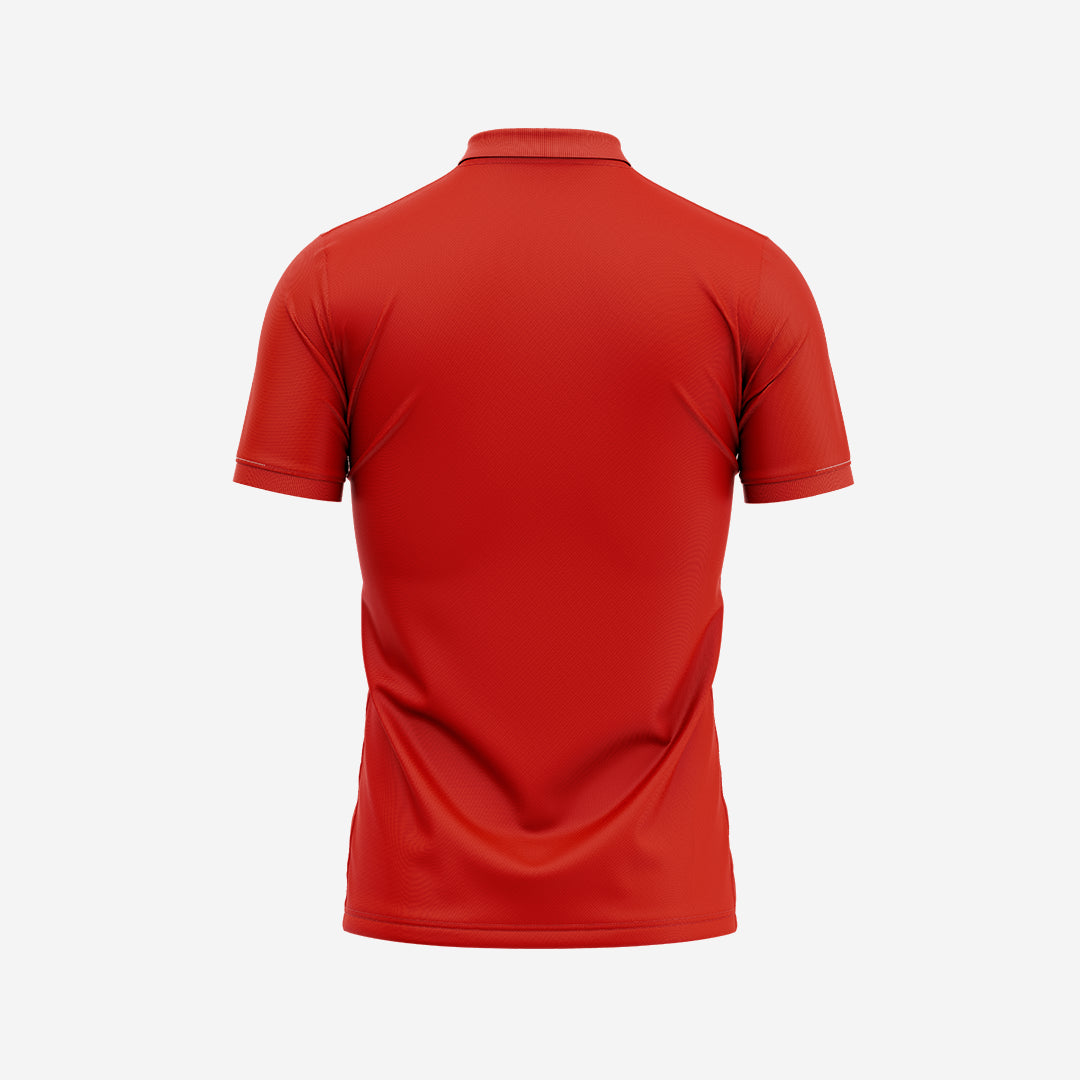 Customized Cricket DC Jersey 2024