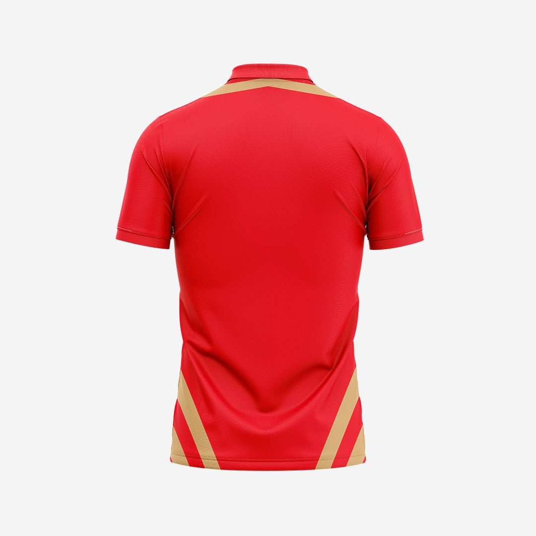 Customized Cricket Punjab Kings Jersey 2023