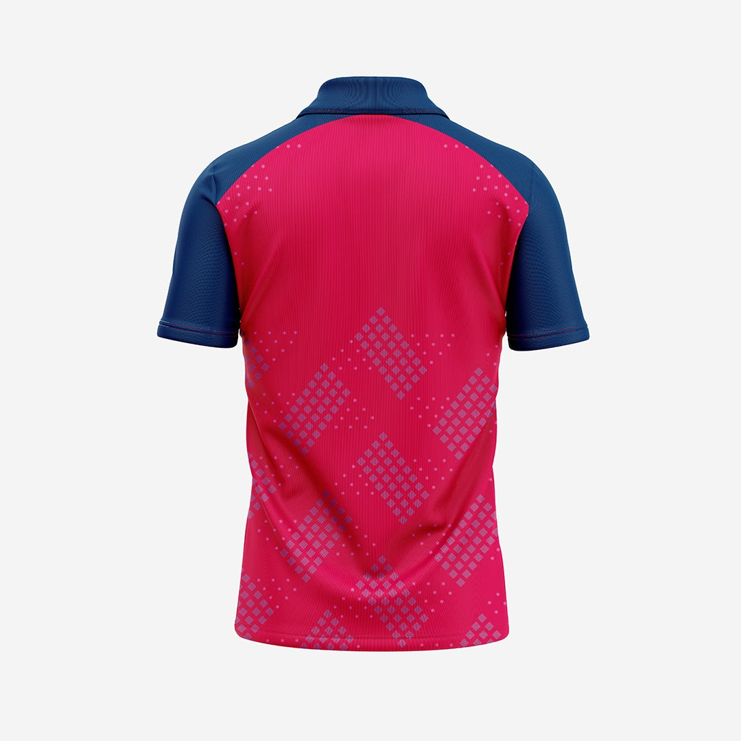 Customized Cricket Rajasthan Royals Jersey 2025